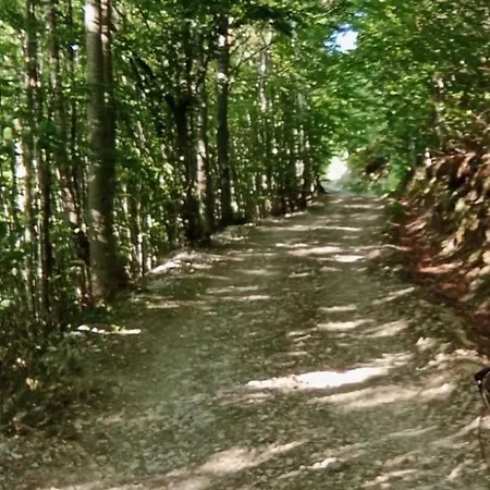 Oaza Mira - Sakina Pecina Fojnica Exterior photo